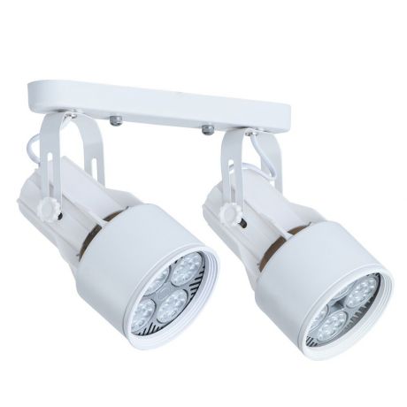 Настенно-потолочный светильник Arte Lamp A6252PL-2WH, белый