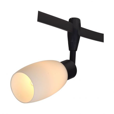 Настенно-потолочный светильник Arte Lamp A3059PL-1BK, черный
