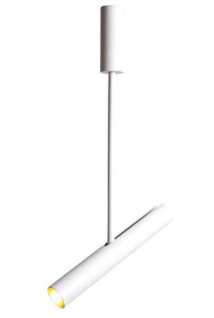 Настенно-потолочный светильник Arte Lamp A2509PL-1WH, белый