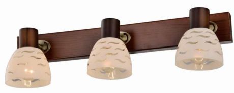 Настенно-потолочный светильник Toplight TL3730Y-03BB, коричневый