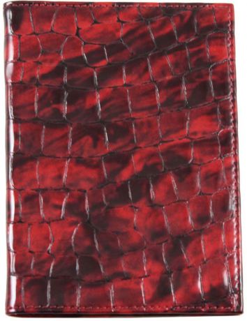 Обложка для паспорта женская Frija, цвет: бордовый. 15-317-13-005-0