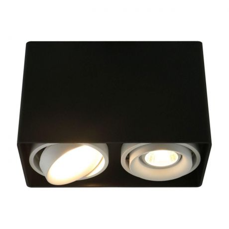 Потолочный светильник Arte Lamp A5655PL-2BK, черный