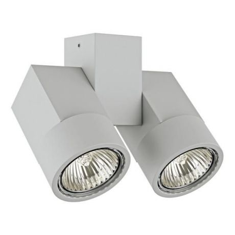 Настенно-потолочный светильник Lightstar 051030, серый