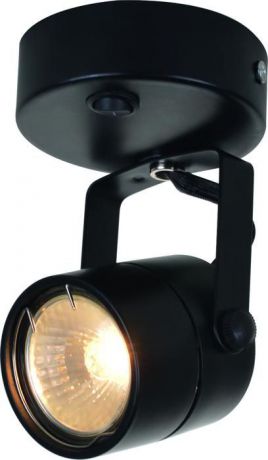 Настенно-потолочный светильник Arte Lamp A1310AP-1BK
