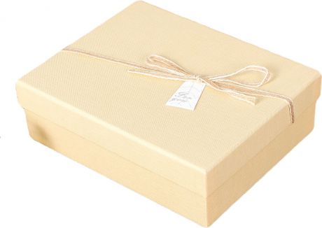 Коробка подарочная, 2854417, 20 х 16 х 6,5 см