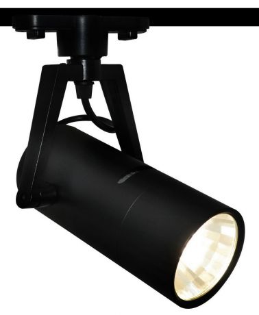 Потолочный светильник Arte Lamp A6210PL-1BK, черный