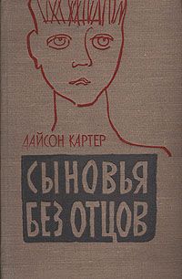 Книга сыновья читать. Книги о сыновьях. Сыновья без отцов книга. Без отца книга. Иван Шевцов во имя отца и сына книга.