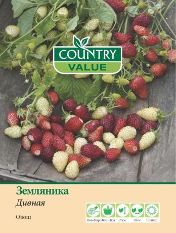 Семена Country Value "Земляника Дивная", 20293, 75 шт