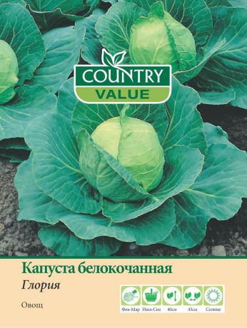 Семена Country Value "Капуста белокочанная Глория", 20541, 200 шт