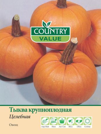 Семена Country Value "Тыква крупноплодная Целебная", 20382, 10 шт