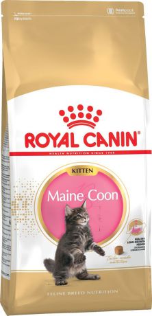 Корм сухой Royal Canin "Kitten Maine Coon", для котят породы мейн-кун в возрасте до 15 месяцев, 10 кг