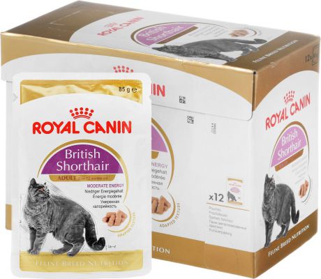 Консервы Royal Canin "British Shorthair Adult", для кошек британской породы старше 12 месяцев, мелкие кусочки в соусе, 85 г, 12 шт