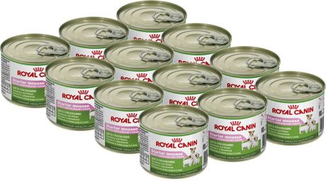 Консервы Royal Canin "Starter Mousse", для щенков и кормящих собак, 195 г, 12 шт