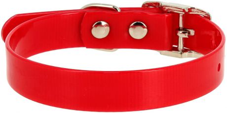 Ошейник для собак Каскад, цвет: красный, ширина 12 мм, обхват шеи 20-24 см