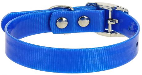 Ошейник для собак Каскад, цвет: синий, ширина 12 мм, обхват шеи 20-24 см