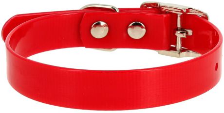 Ошейник для собак Каскад, цвет: красный, ширина 12 мм, обхват шеи 24-28 см