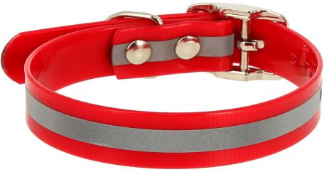 Ошейник для собак Каскад, со светоотражающей полосой, цвет: красный, ширина 12 мм, обхват шеи 20-24 см