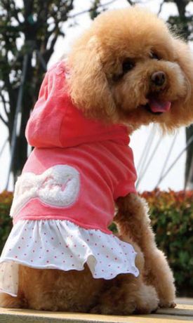 Платье для собак "Dobaz", утепленное, цвет: розовый. ДА13082АМ. Размер M