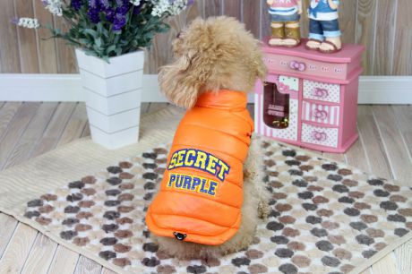 Куртка для собак "Dobaz", цвет: оранжевый. ДА1207ВХС. Размер XS