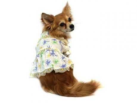 Платье для собак Каскад "Цветы", цвет: белый, синий, золотой. Размер XL