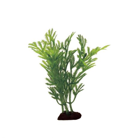 Растение для аквариума ArtUniq "Хоттиния ", высота 10 см, 6 шт