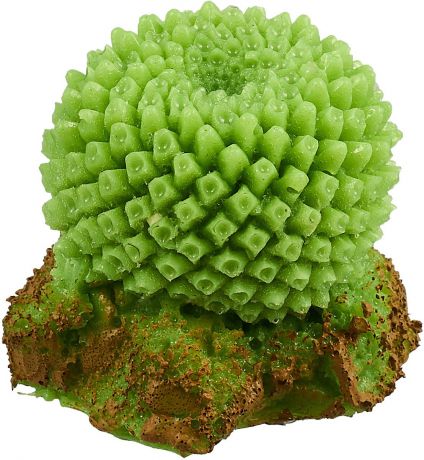 Растение для аквариума №1 "Кактус игольчатый", высота 6 см