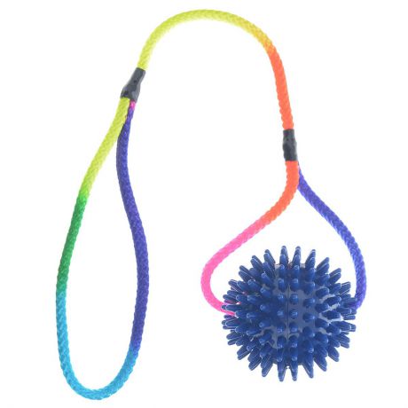Игрушка для собак V.I.Pet "Массажный мяч", на шнуре, цвет: синий, диаметр 8 см
