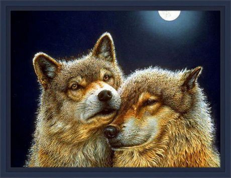 Набор для изготовления картины со стразами Алмазная Живопись "Волк и волчица", 60 х 45 см