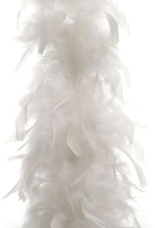Боа Bestex "Перо", цвет: белый, 2 м. 7708195