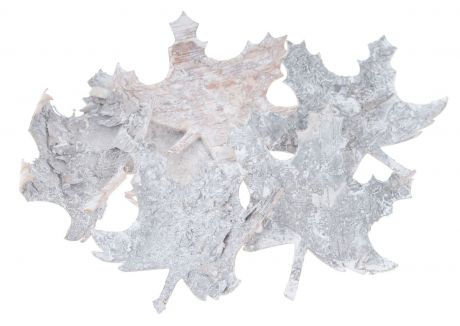 Декоративный элемент "Dongjiang Art", цвет: белый, 6 шт. 7709013