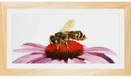 Набор для вышивания крестом Thea Gouverneur "Пчела на эхинацее", 45 х 21 см. 549