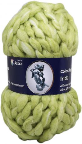 Пряжа для вязания Астра "Ирида", цвет: салатовый (11), 200 г, 40 м, 2 шт