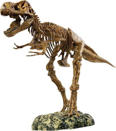 Edu-Toys Набор для 3D моделирования Скелет динозавра