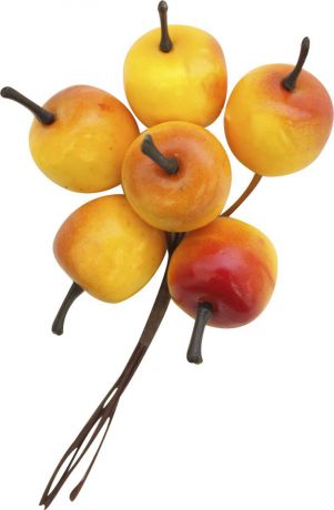 Декоративный букет для скрапбукинга Астра "Яблоки", цвет: красный, желтый, 11 х 7 см, 6 шт