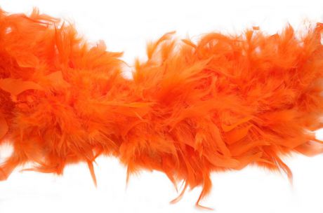 Боа Bestex "Перо", цвет: ярко-оранжевый, 2 м. 7715418