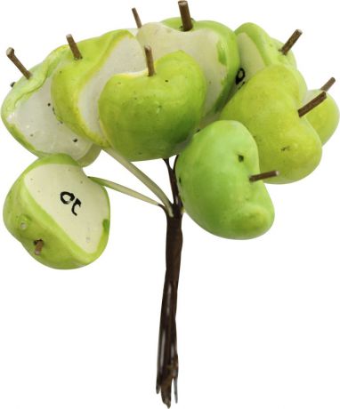 Декоративный букет для скрапбукинга Астра "Яблоки половинки", цвет: зеленый, 14 х 10 см, 12 шт