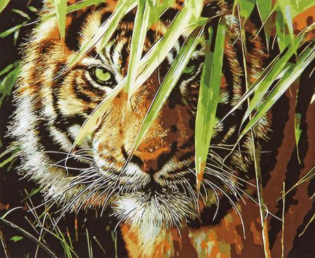 Картина по номерам Школа талантов "Тигр в траве", 1387413, 30 х 40 см