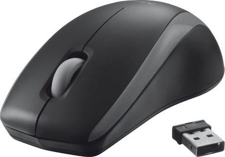 Мышь Trust Carve Wireless, беспроводная, цвет: черный, серый