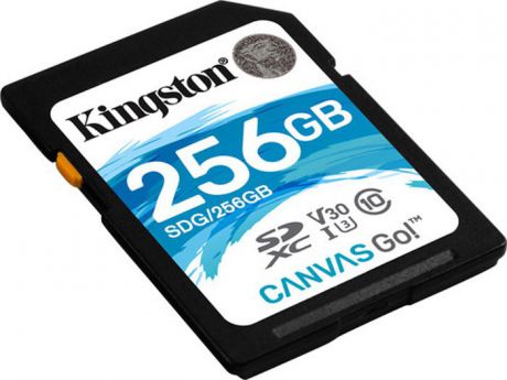 Карта памяти Kingston Canvas Go! UHS-I Class U3 V30, SDG/256GB, 256GB