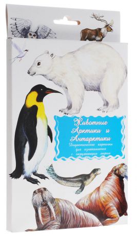 Маленький гений-Пресс Обучающие карточки Животные Арктики и Антарктики
