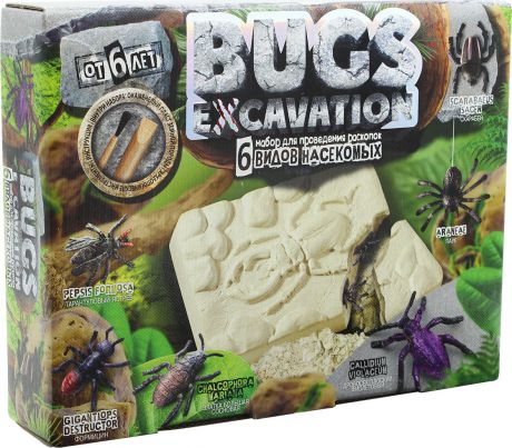 Набор для раскопок Danko Toys "Bugs Excavation. Жуки. Набор 1"