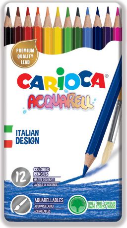 Набор цветных карандашей Carioca Acquarell, с эффектом акварельных красок, 12 цветов