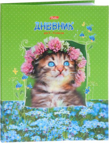Hatber Дневник школьный Любимый котенок для 5-11 классов