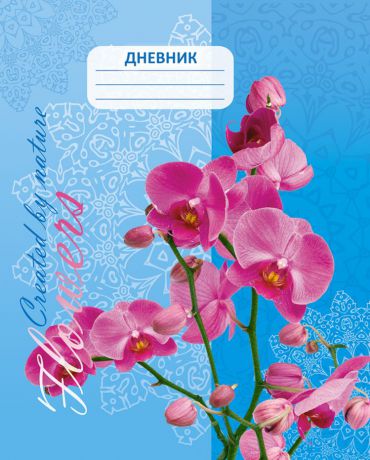 Апплика Дневник школьный Орхидея