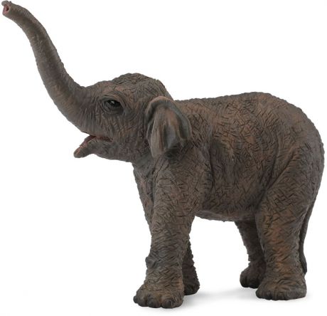 Фигурка Collecta "Азиатский слонёнок", размер S. 88487b
