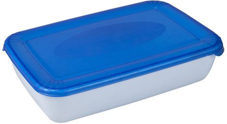 Контейнер пищевой Plast Team "Polar", цвет: голубой, прозрачный, 0,9 л