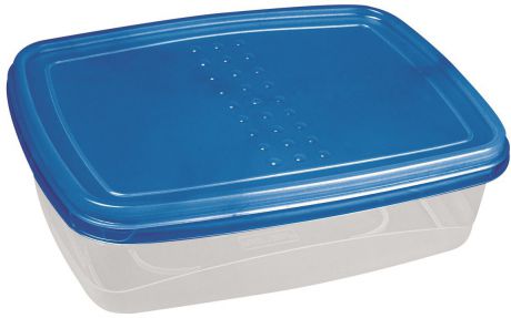 Контейнер пищевой Plast Team "Pattern Flex", цвет: голубой, прозрачный, 1,3 л