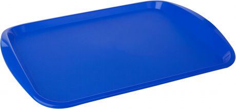 Поднос "Plast Team", цвет: синий, прямоугольный, 36,5 х 25,5 х 2,5 см