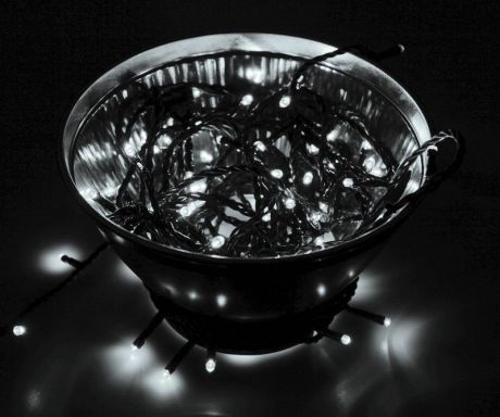 Гирлянда Neon-Night "Твинкл Лайт", светодиодная, 100 LED, цвет: черный, белый, 10 м
