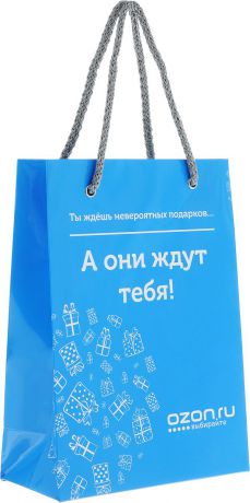 Пакет подарочный OZON.ru "Ты ждешь невероятных подарков... А они ждут тебя!", 15 х 21 х 7 см